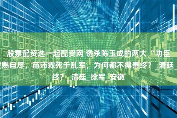 股票配资选一起配资网 诱杀陈玉成的两大 “功臣”：胜保被赐自尽，苗沛霖死于乱军，为何都不得善终？_清廷_捻军_安徽