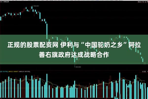 正规的股票配资网 伊利与“中国驼奶之乡”阿拉善右旗政府达成战略合作